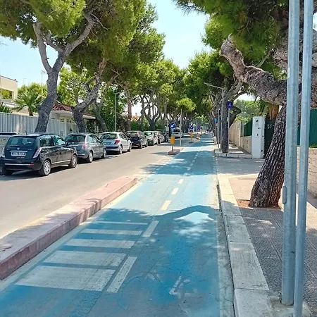 公寓 La Terrazza Sul Porto 比谢列